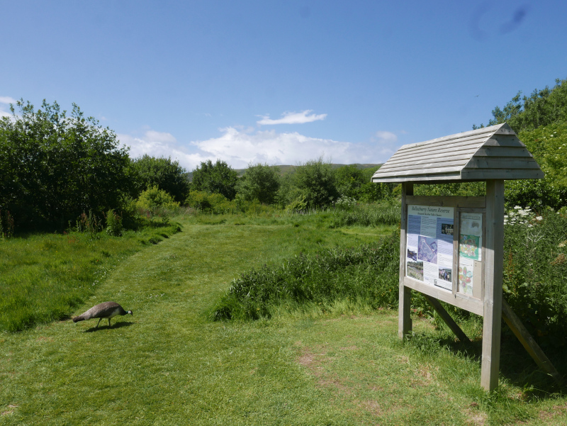 Ballachurry Nature Reserve