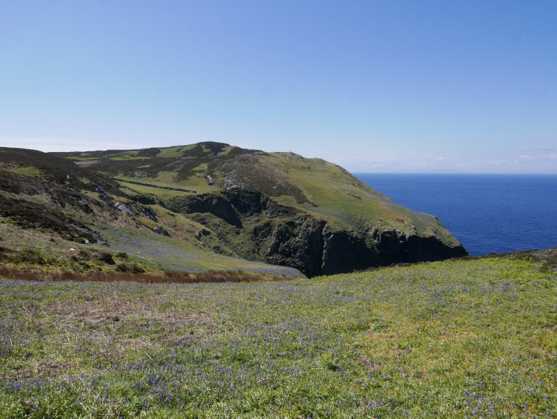 Calf of Man