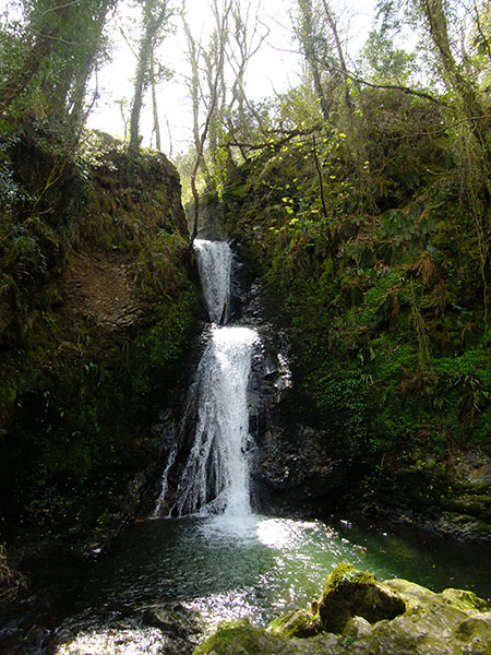 Glen Mooar