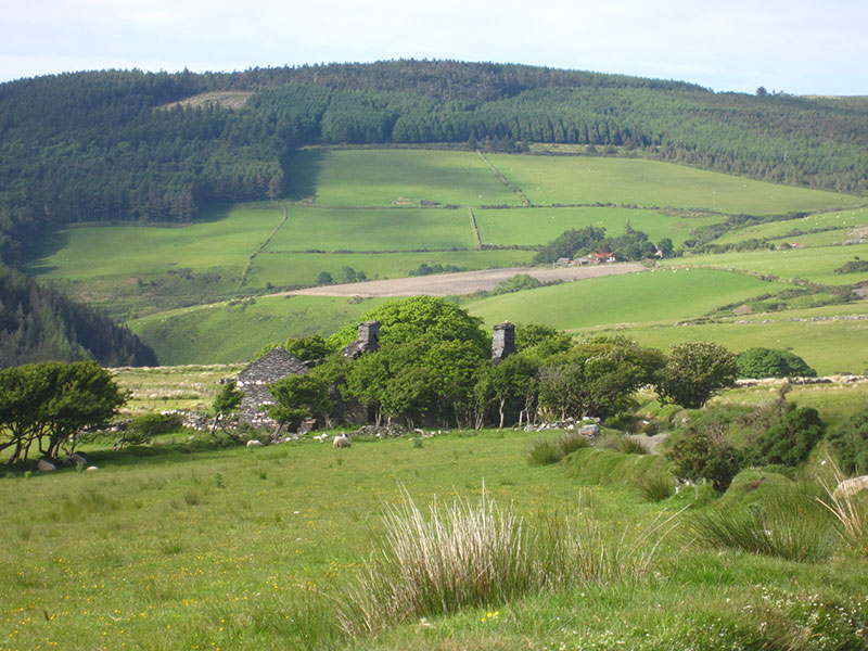 Glen Rushen