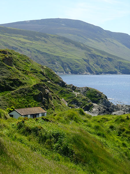 Niarbyl