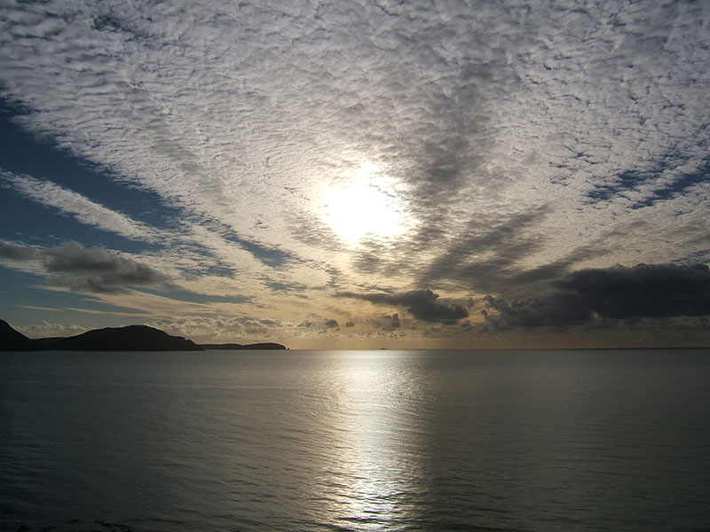 Niarbyl