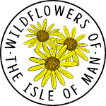 Wildflowers of the Isle of Man